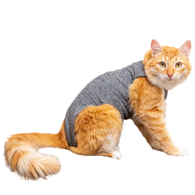 Roupa pos-cirurgica gato cinza Pet Designer