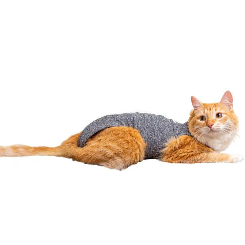 Roupa pos-cirurgica gato cinza Pet Designer