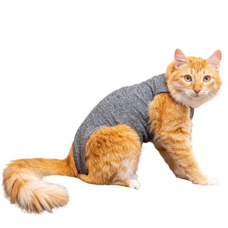 Roupa pos-cirurgica gato cinza Pet Designer
