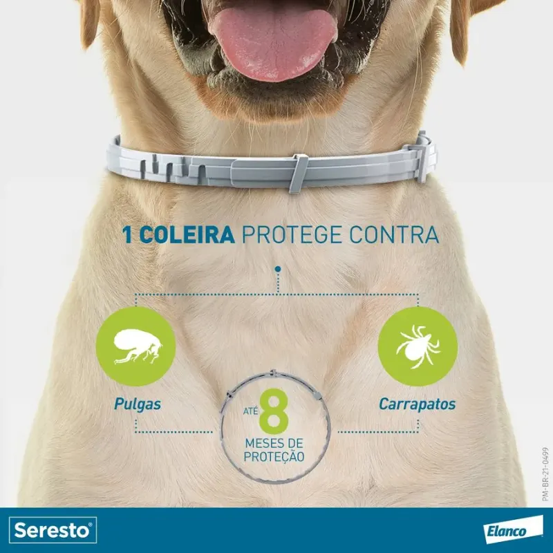 Seresto Coleira para Cães Acima de 8 Kg