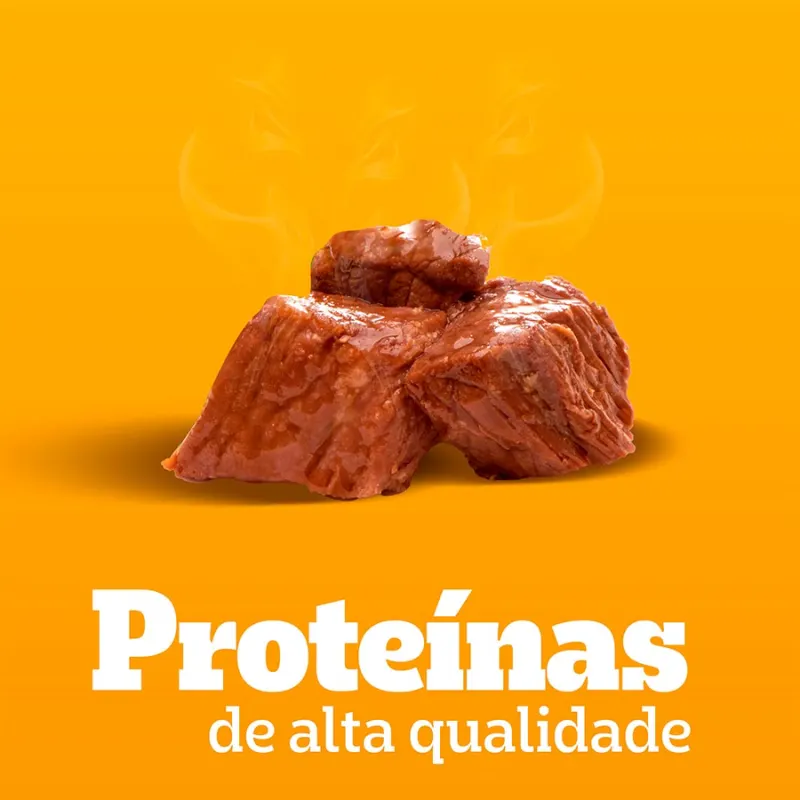 Ração Úmida Pedigree Sachê Carne Molho Cães Filhotes 100 g