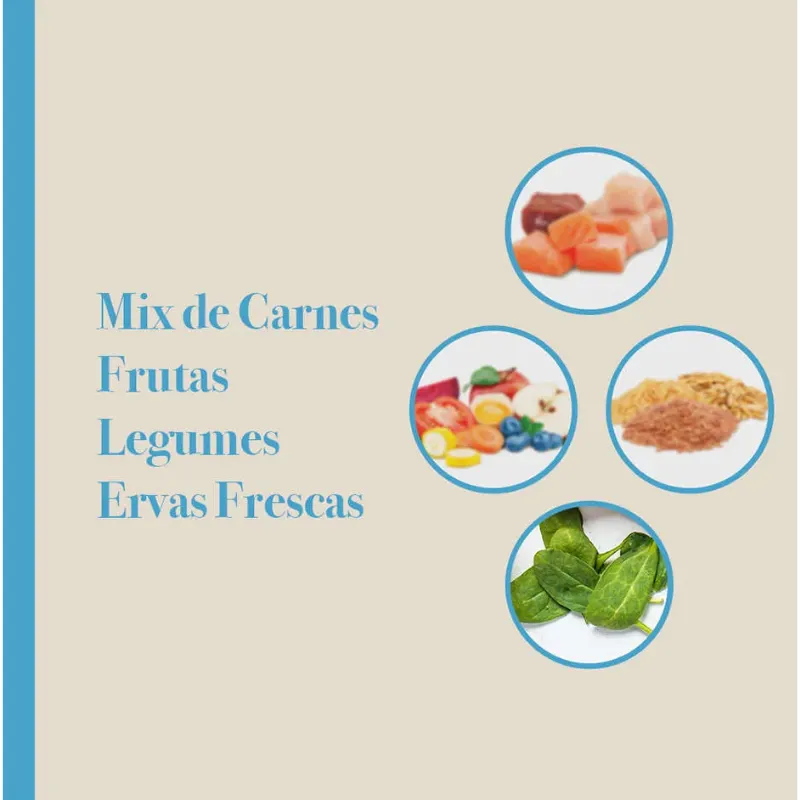 Ração Biofresh Cão Sênior Média Mix de Carnes