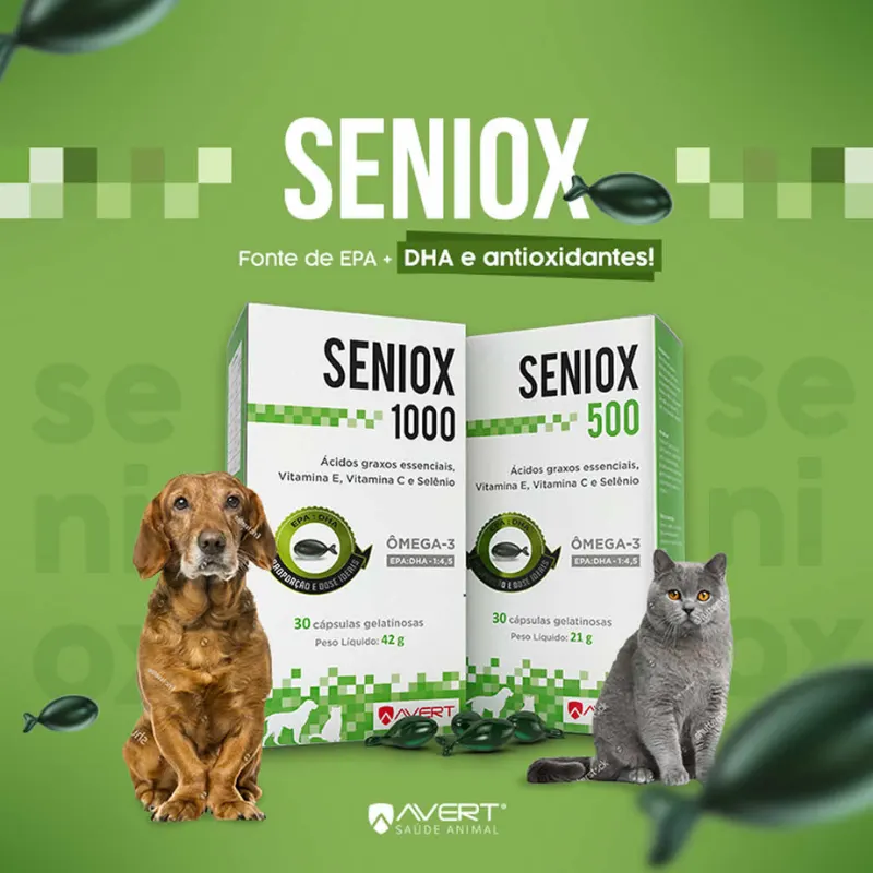 Avert Seniox 1000 mg com 30 Cápsulas