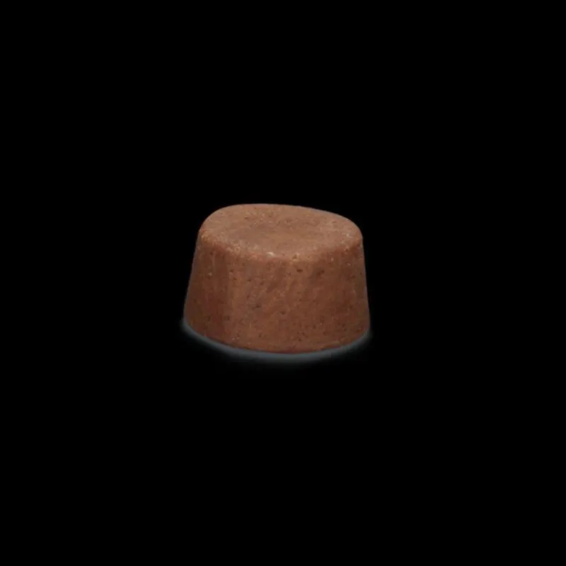 Bravecto 1000 mg Antipulgas e Carrapatos Para Cães de 20 a 40kg