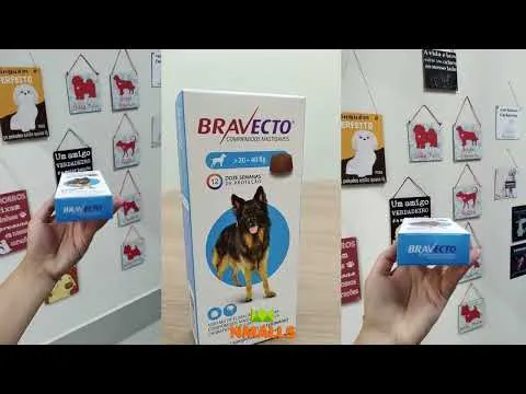 Bravecto 1000 mg Antipulgas e Carrapatos Para Cães de 20 a 40kg