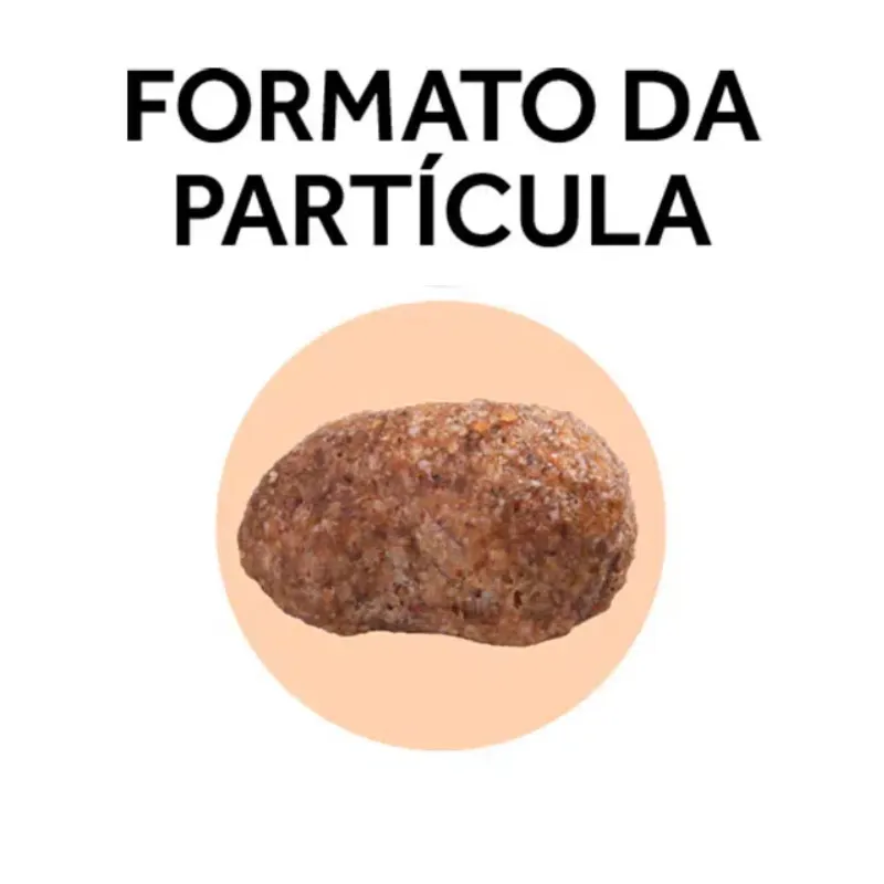 Ração GranPlus Cão Gourmet Adulto MG Ovelha e Arroz