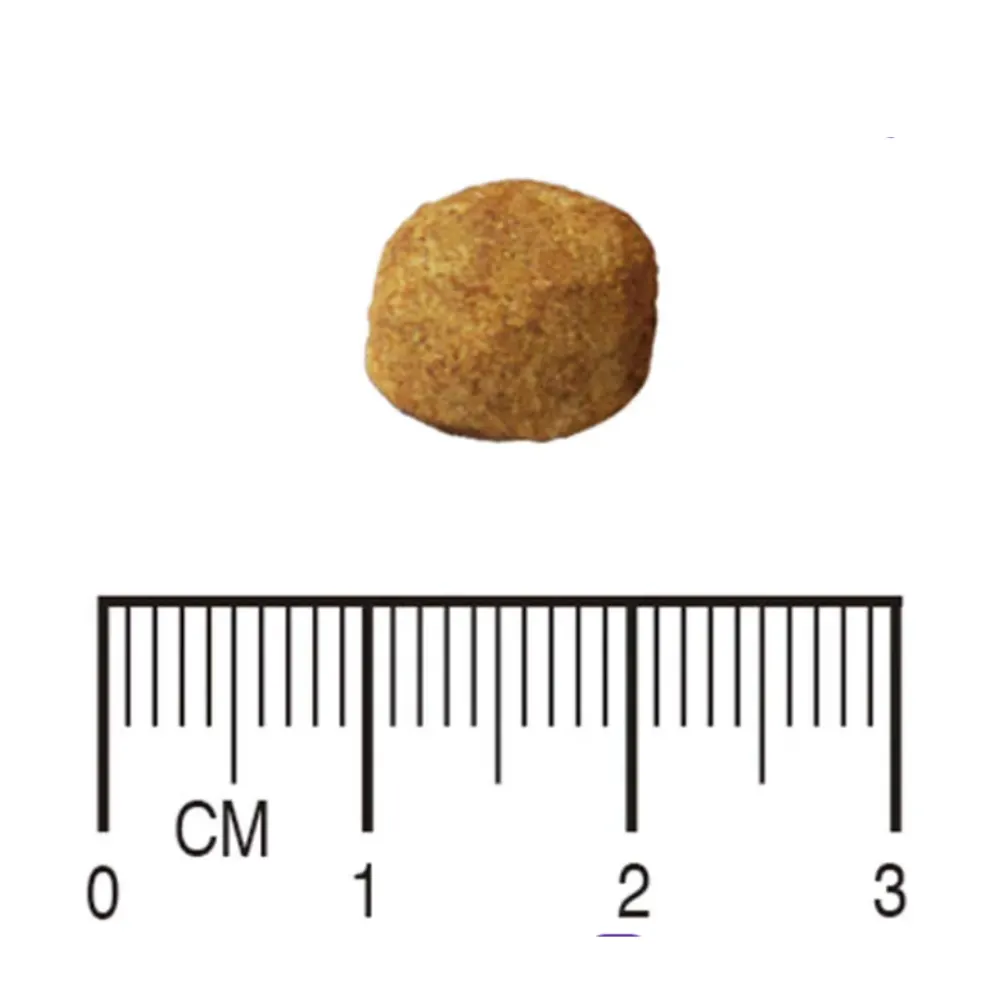 Ração Equilíbrio Veterinary IN Trato Intestinal Cães Adultos 2 Kg
