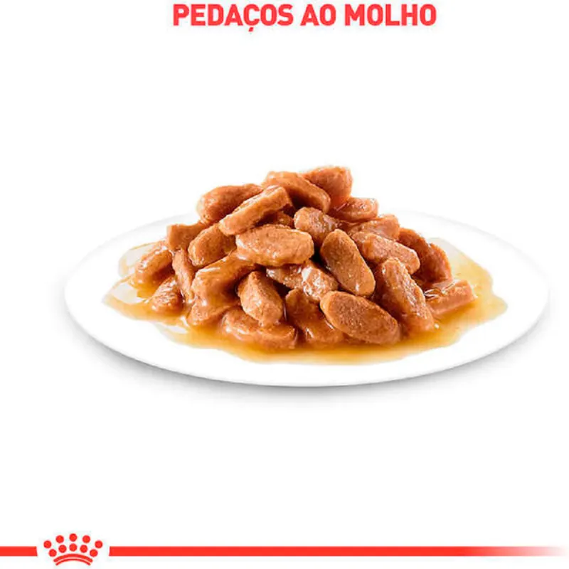 Ração Úmida Royal Canin Digestiv Gravy para Gatos 85 g