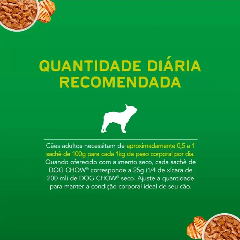 Dog Chow Sachê Para Cães Adultos Raças Pequenas Sabor Frango 100 g