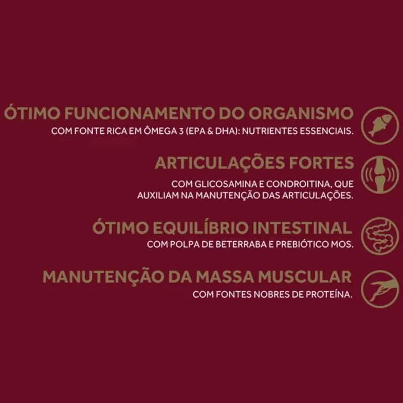 Ração GranPlus Menu Cães Adultos Médios e Grandes Carne e Arroz