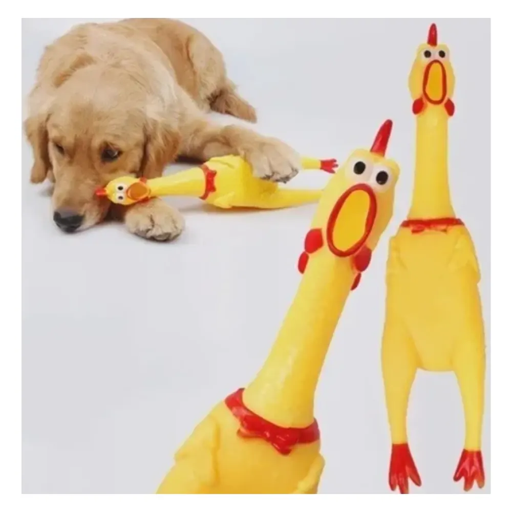 Brinquedo PET Frango Galinha de Borracha Grande