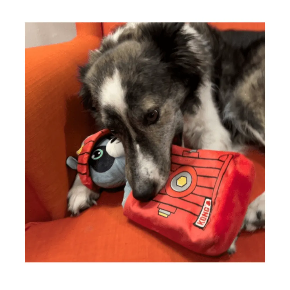 Brinquedo Kong Puzzlements Surpresa Para Cães - Médio