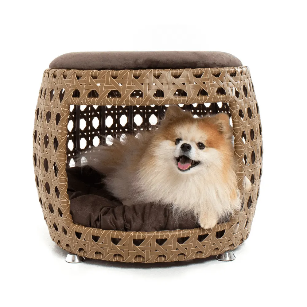 Cama pet + Puff Acorde Comfort Pet
