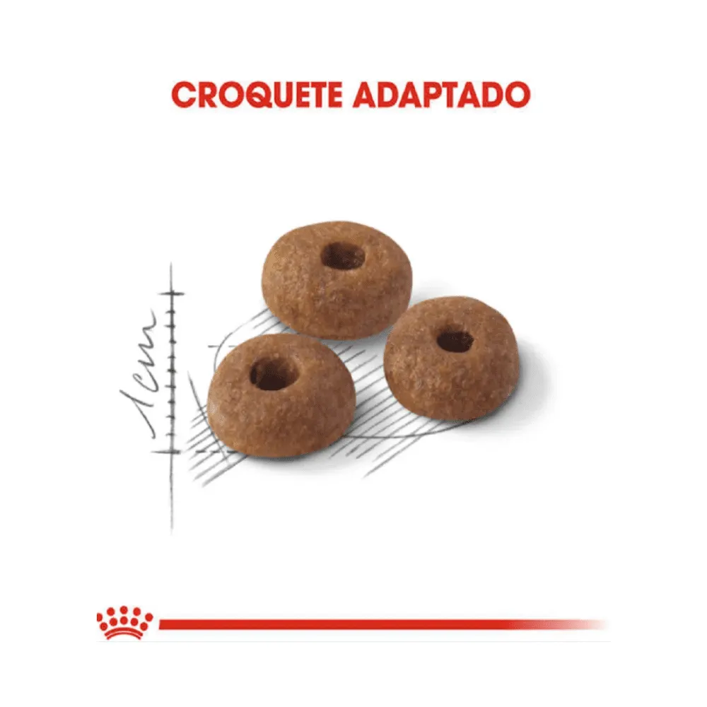 Ração Royal Canin Fit Gatos adultos 400g