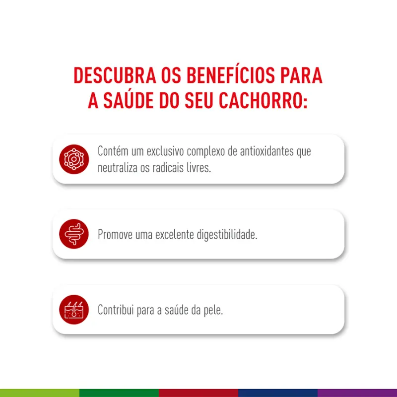 Ração Seca Royal Canin Medium Adult para Cães Adultos de Porte Médio 12 Kg
