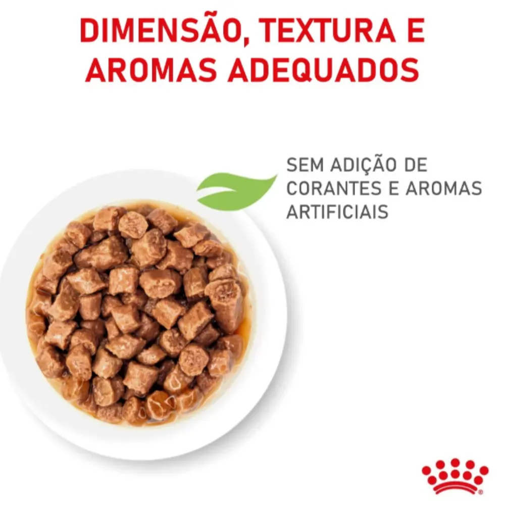 Ração Úmidas Royal Canin Filhotes Kitten Gatos Filhotes até 12 meses 85g