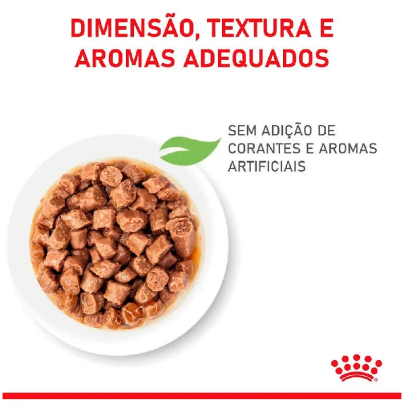 Ração Úmidas Royal Canin Filhotes Kitten Gatos Filhotes até 12 meses 85g