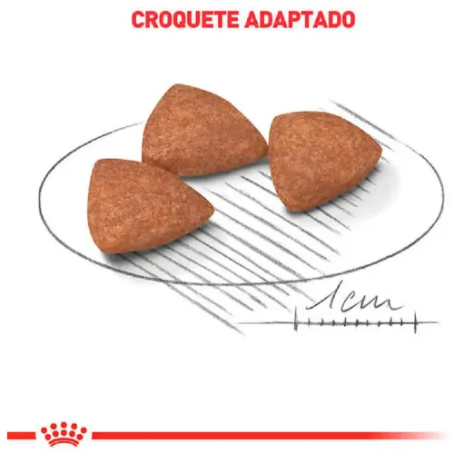 Ração Royal Canin Mini Indoor Cães Adultos