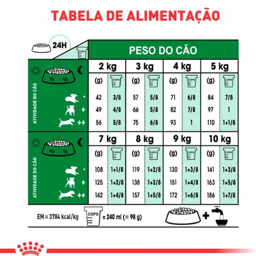 Ração Royal Canin Mini Indoor Cães Adultos