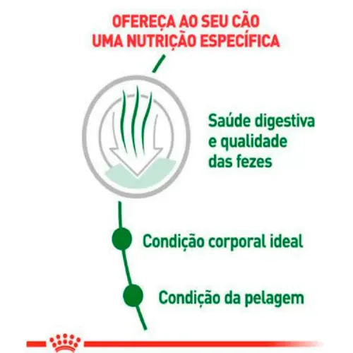 Ração Royal Canin Mini Indoor Cães Adultos