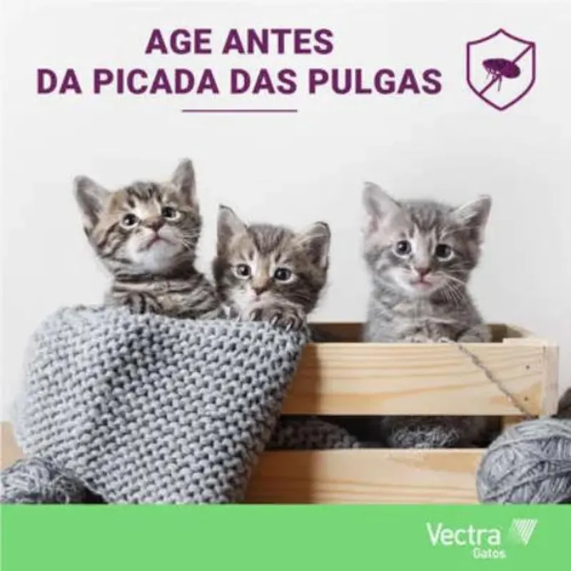 Anti Pulgas Ceva Vectra Para Gatos 1ml