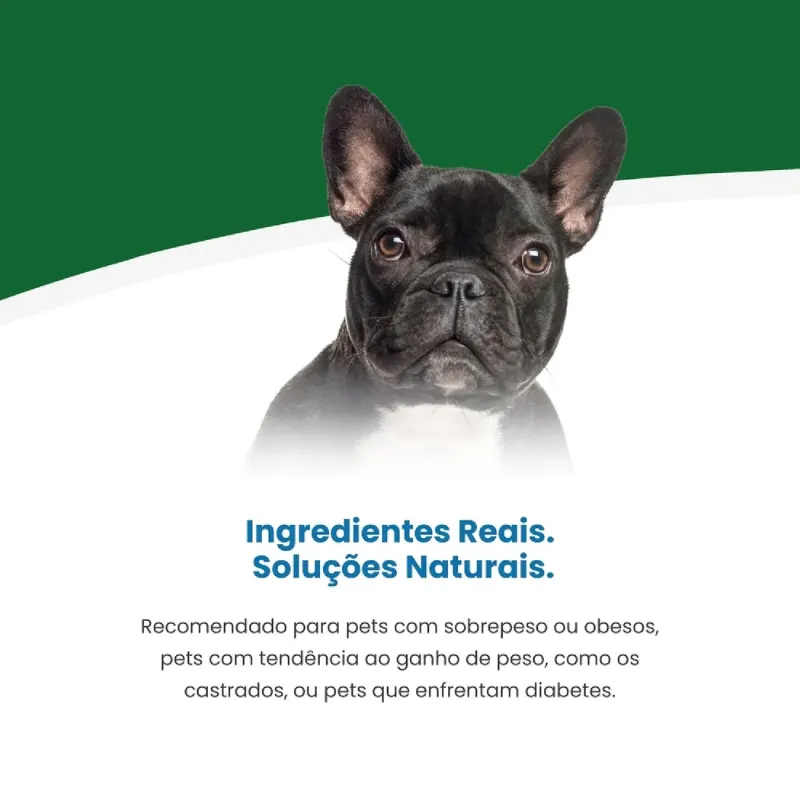 Ração Vet Life Cães Obesity Diabetic Mini 2 Kg