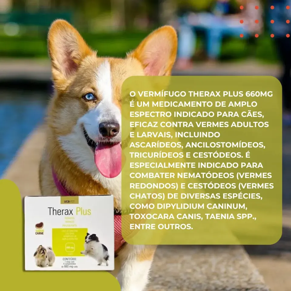 Therax Plus 660 mg com 4 Comprimidos