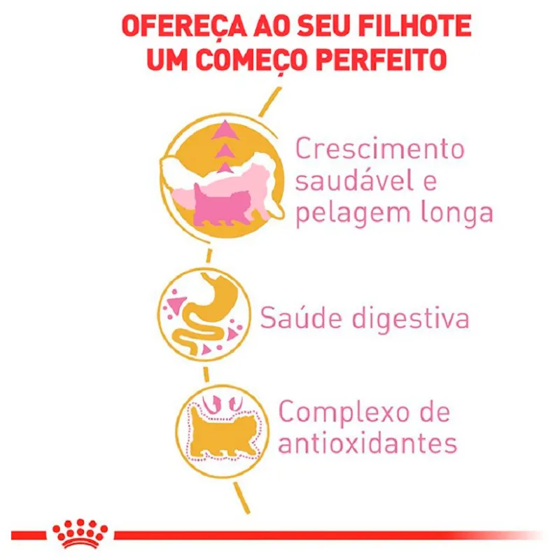 Ração Royal Canin Kitten Persian para Gatos Filhotes da Raça Persa 1,5 Kg
