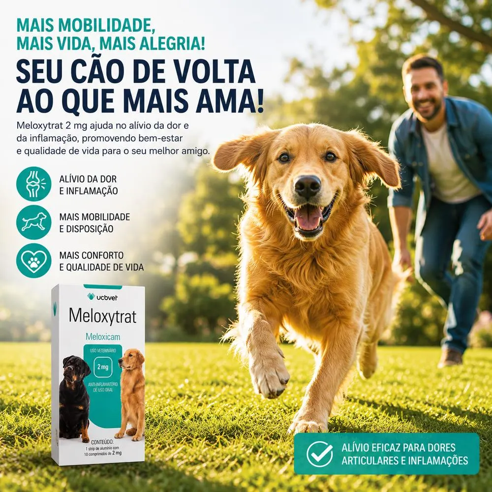 Meloxytrat 2 mg com 10 Comprimidos UCBVET