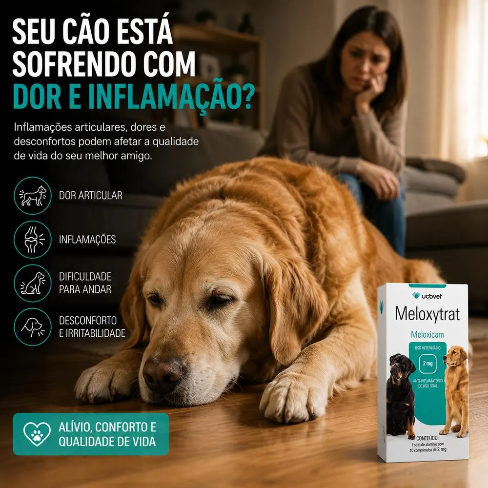 Meloxytrat 2 mg com 10 Comprimidos UCBVET