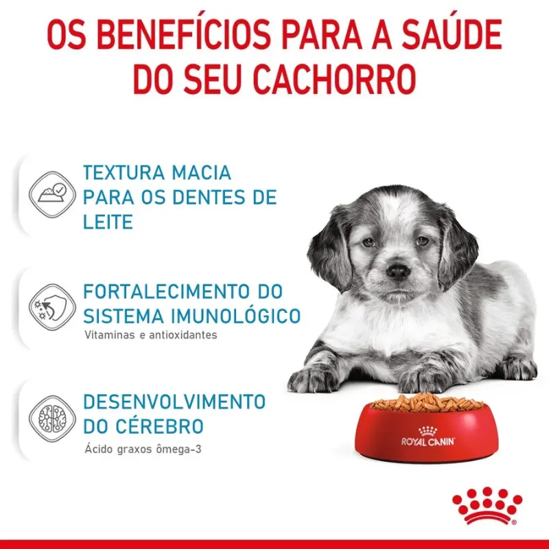 Ração Úmida Royal Canin Medium Puppy Cães Filhotes Médio 140g