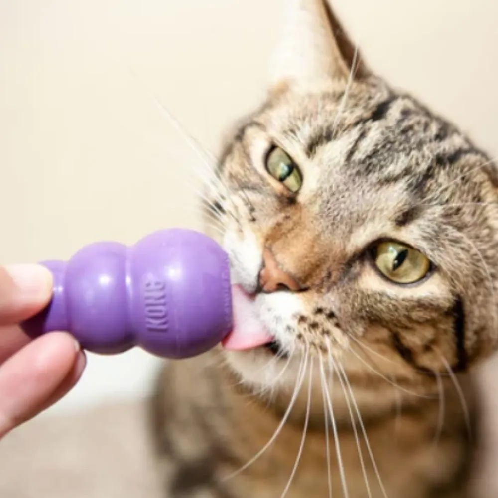 Brinquedo Kong Kitty Para Gatos Lilás Tam.P