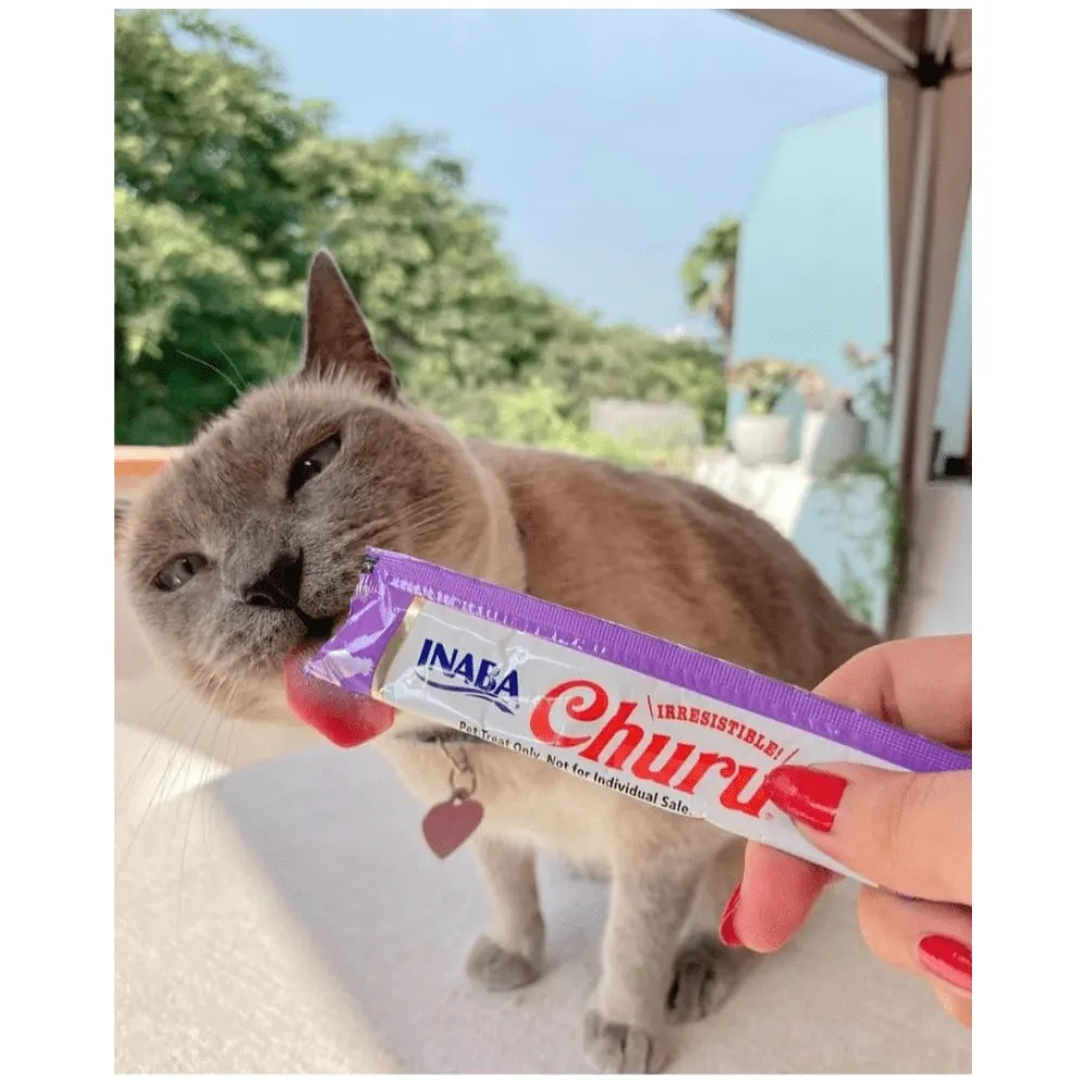 Petisco Patê Churu Gatos Frango/Camarão - Tubo avulso 14g