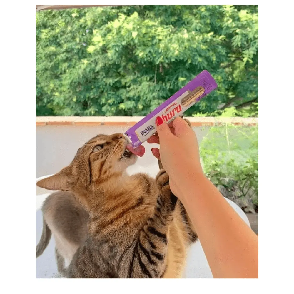 Petisco Patê Churu Gatos Frango/Camarão - Tubo avulso 14g