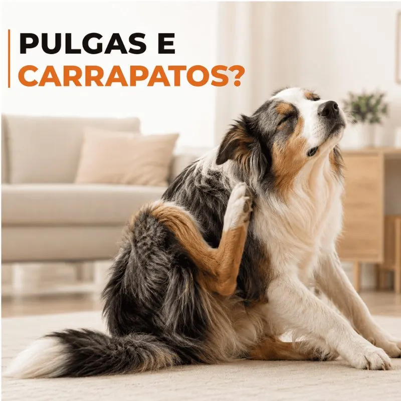 Antiparasitário Externo König Dominal 4 mL para Cães de 25,1 a 40 kg com 3 Pipetas