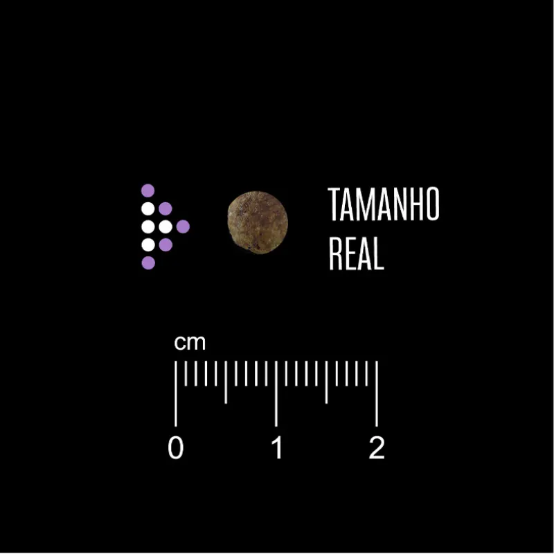 Ração Equilíbrio Sensível Cordeiro para Cães de Pequeno Porte  1 Kg