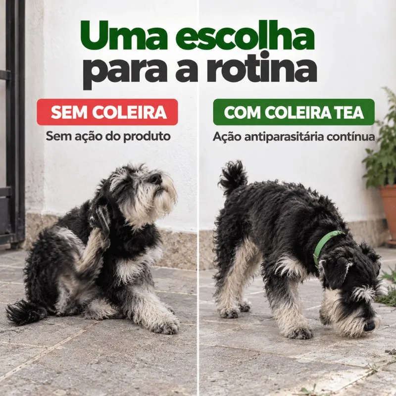 Coleira Antiparasitária König Externo 33 cm para Cães