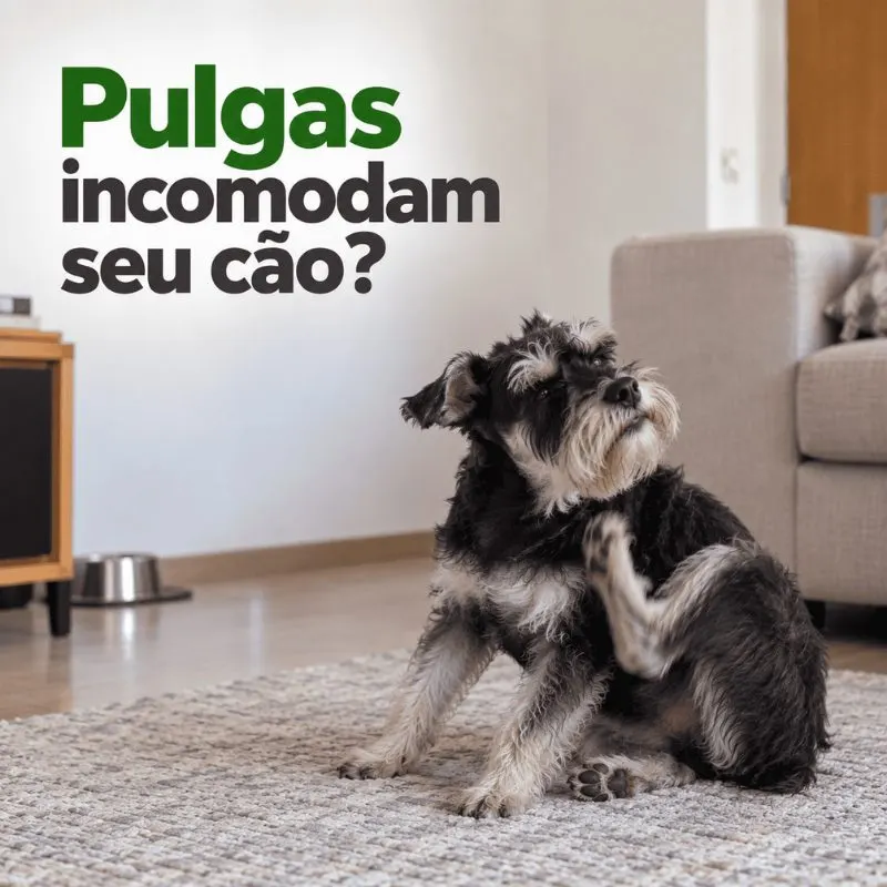 Coleira Antiparasitária König Externo 33 cm para Cães
