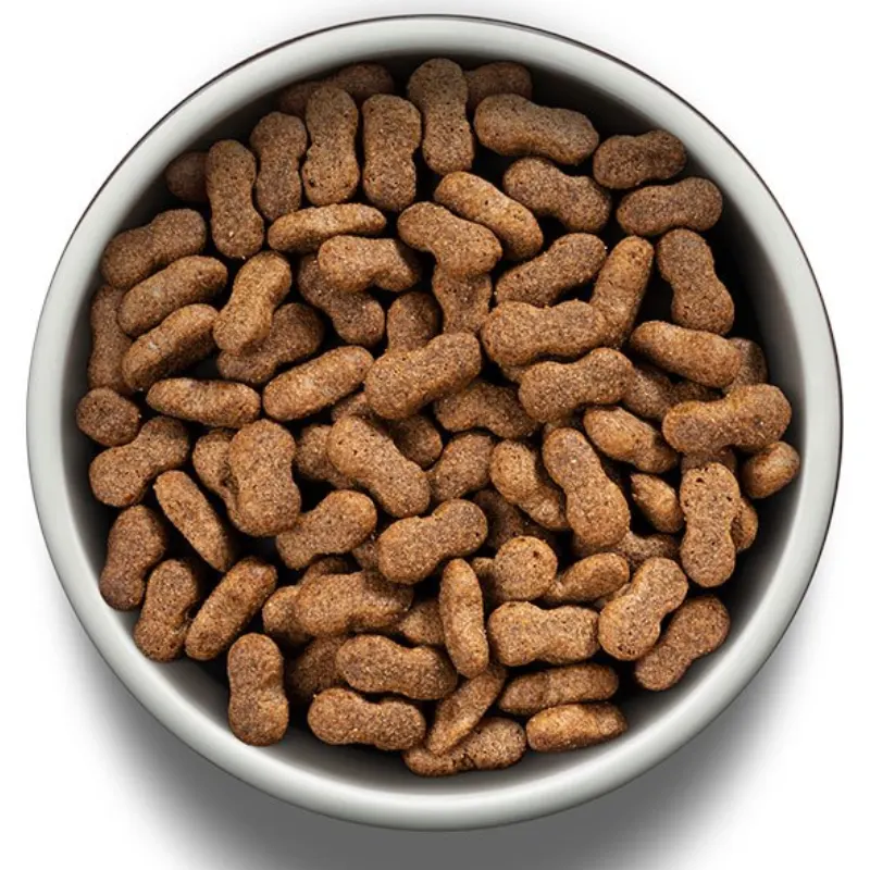 Guabi Natural Cão Adulto Grande Gigante Salmão E Cevada 12Kg