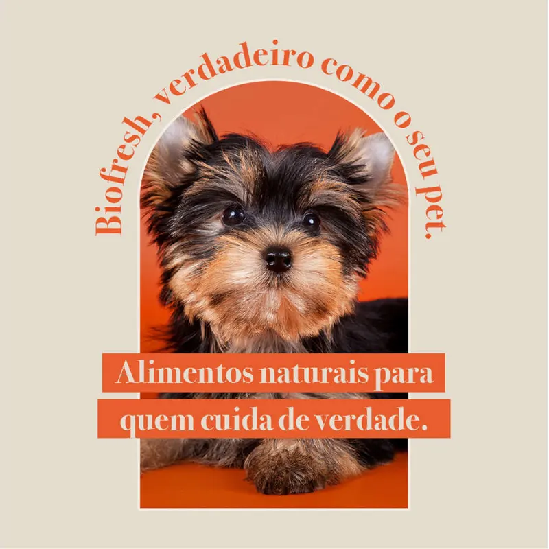 Ração Biofresh Cão Adulto Pequena e Mini Mix