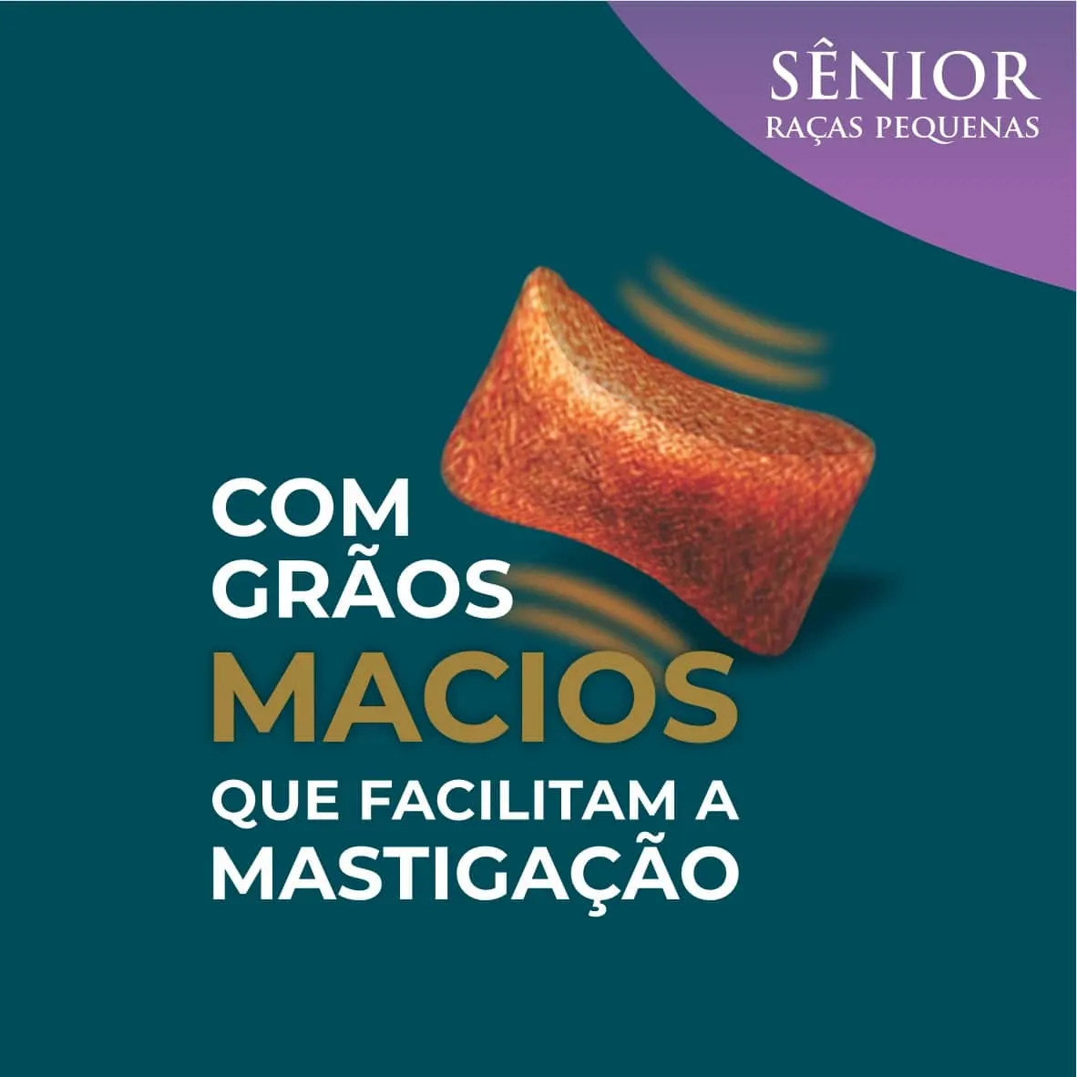 Ração Qualiday Prolife Sênior Raças Pequenas