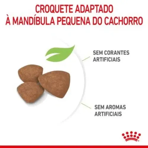 Ração Royal Canin Mini Puppy