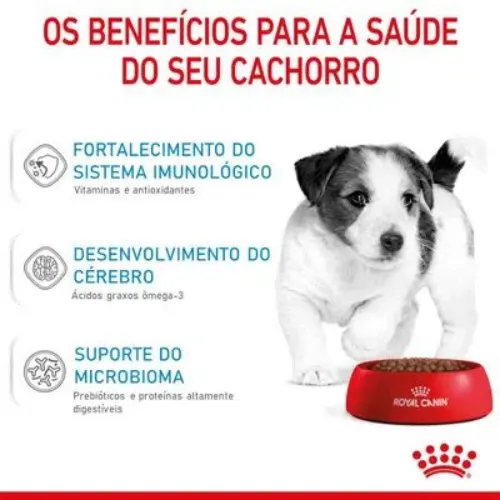 Ração Royal Canin Mini Puppy