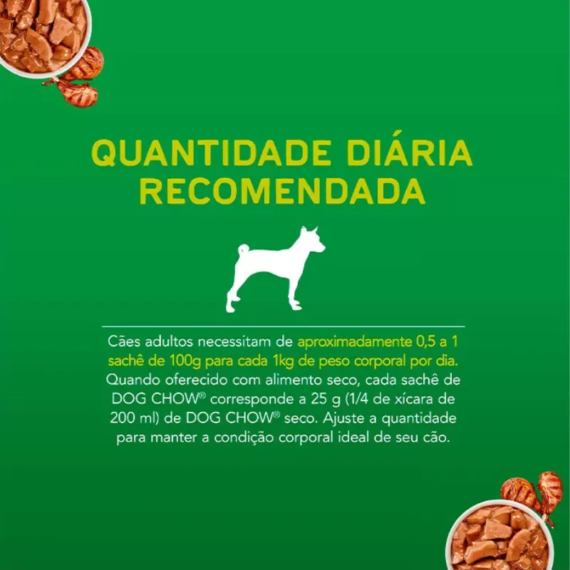 Dog Chow Sachê Para Cães Adultos Sabor Cordeiro 100 g