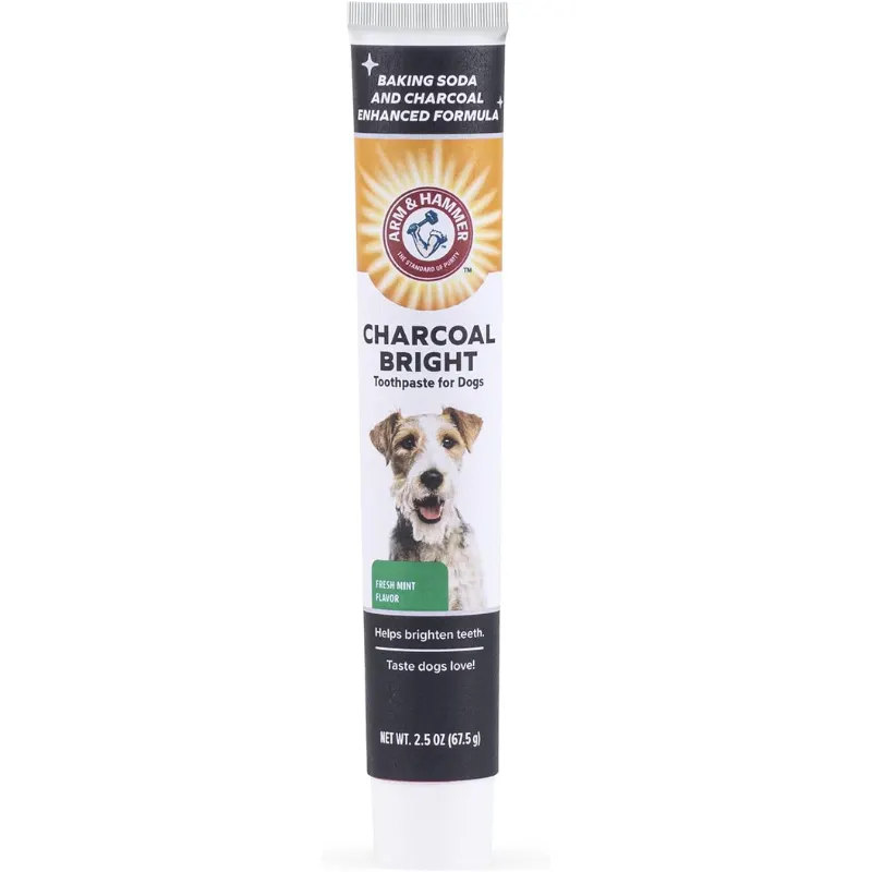 Arm & Hammer Charcoal Bright Pasta de Dentes Enzimaticas para Cães Sabor Menta