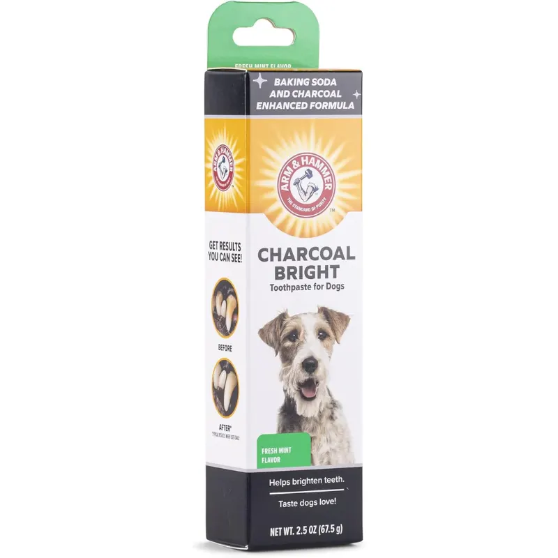 Arm & Hammer Charcoal Bright Pasta de Dentes Enzimaticas para Cães Sabor Menta