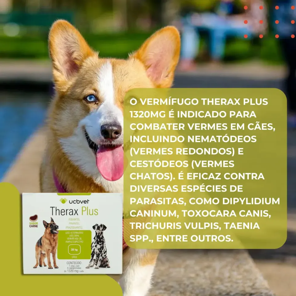 Therax Plus 1320 mg com 4 Comprimidos