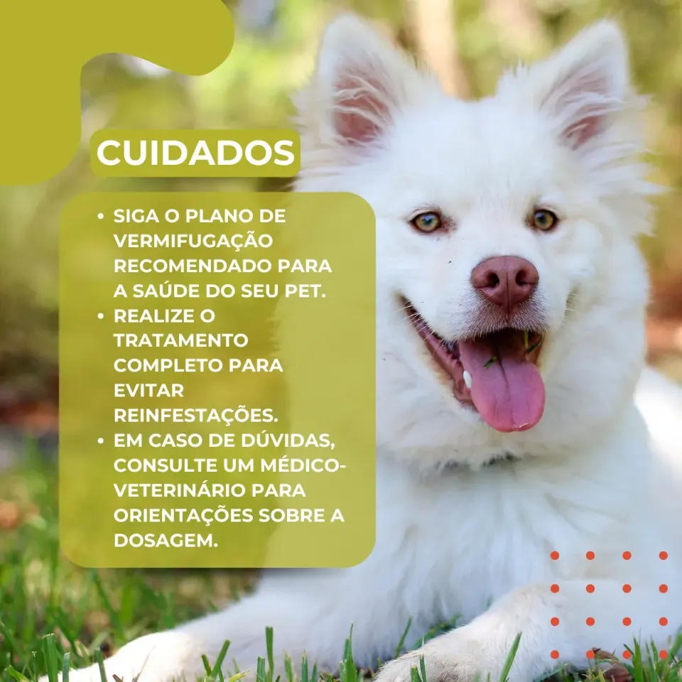 Therax Plus 1320 mg com 4 Comprimidos
