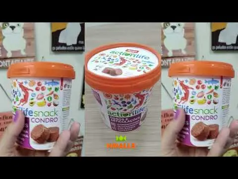 Actionlife CONDRO - Suplemento em Snack para Articulações