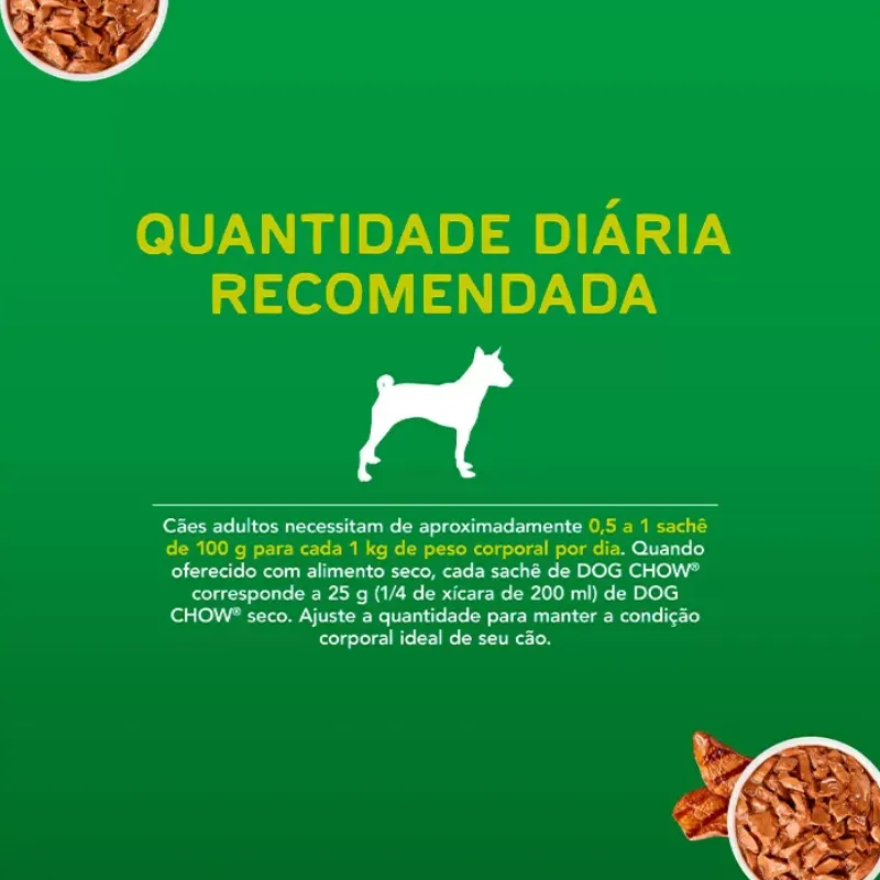 Dog Chow Sachê Para Cães Adultos Raças Pequenas Sabor Carne 100 g